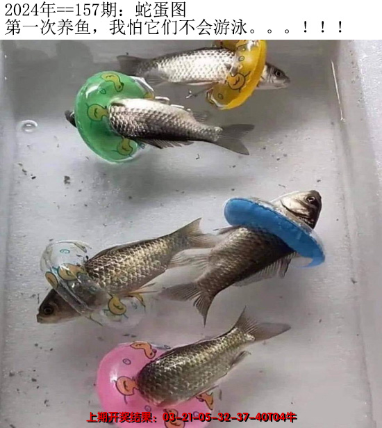 2024157期另版蛇蛋图