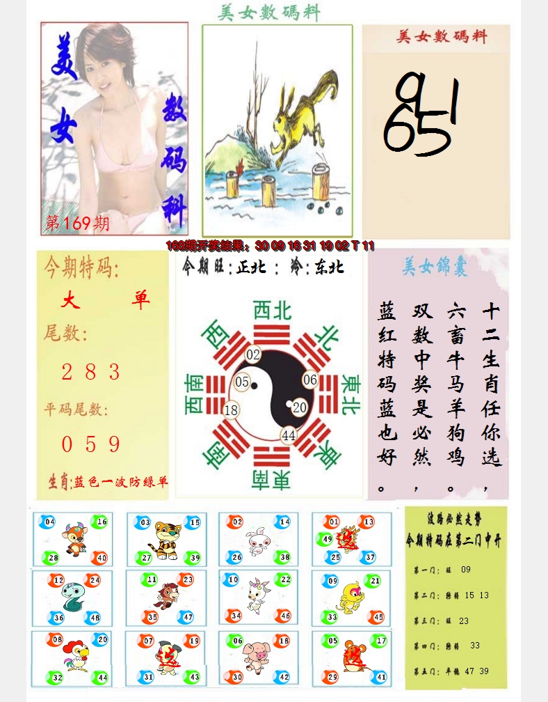 2024169期美女数码料