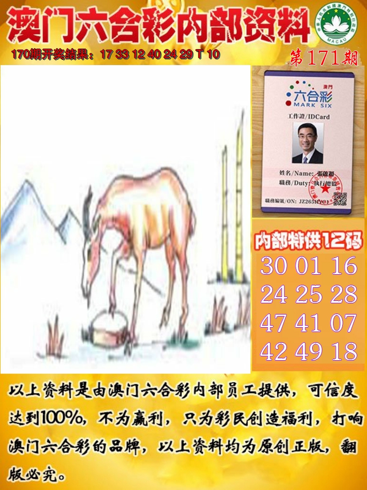 2024171期六合内部资料