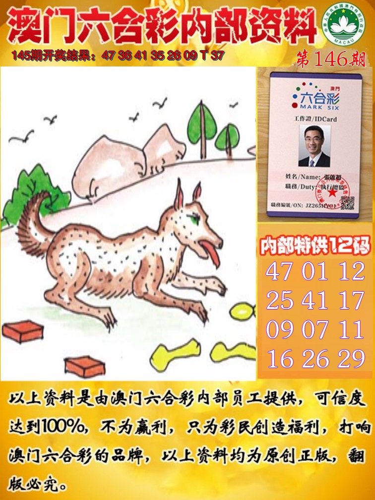2024146期六合内部资料