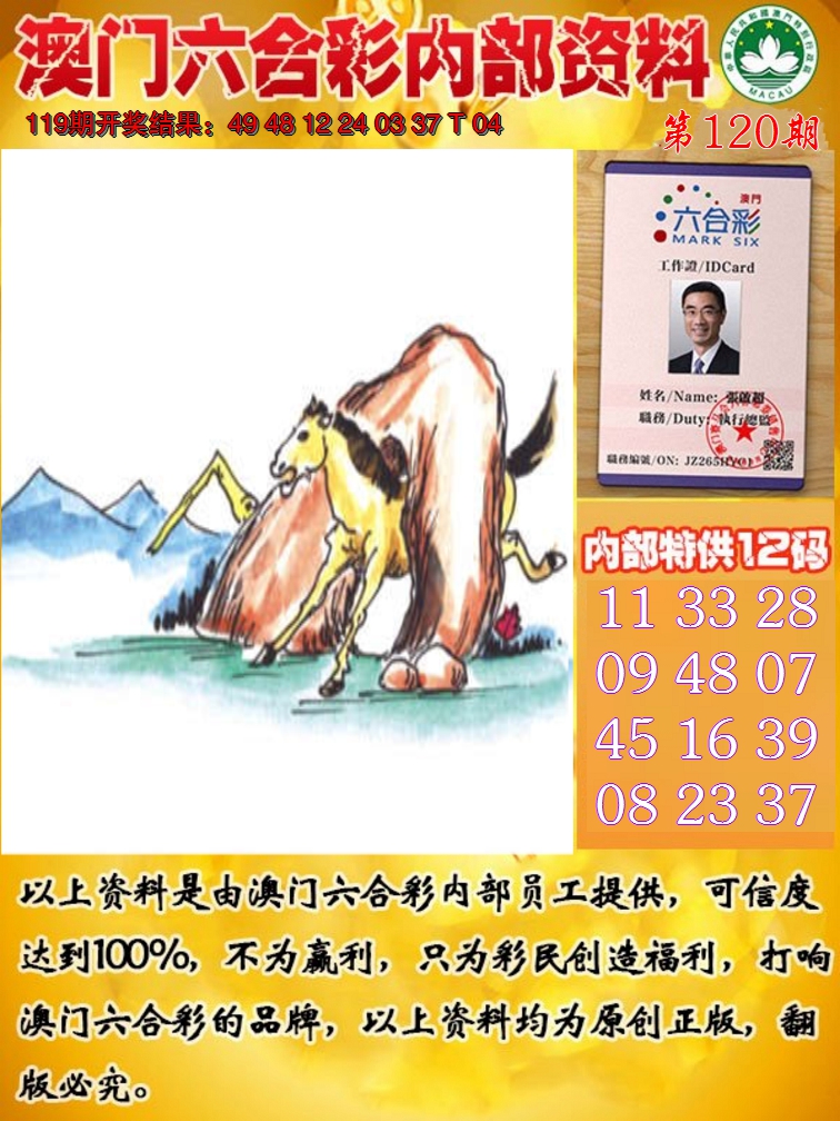 2024120期六合内部资料