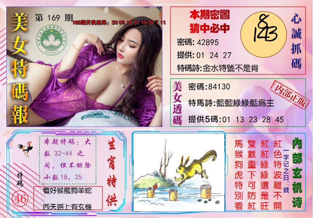 2024169期美女特码报