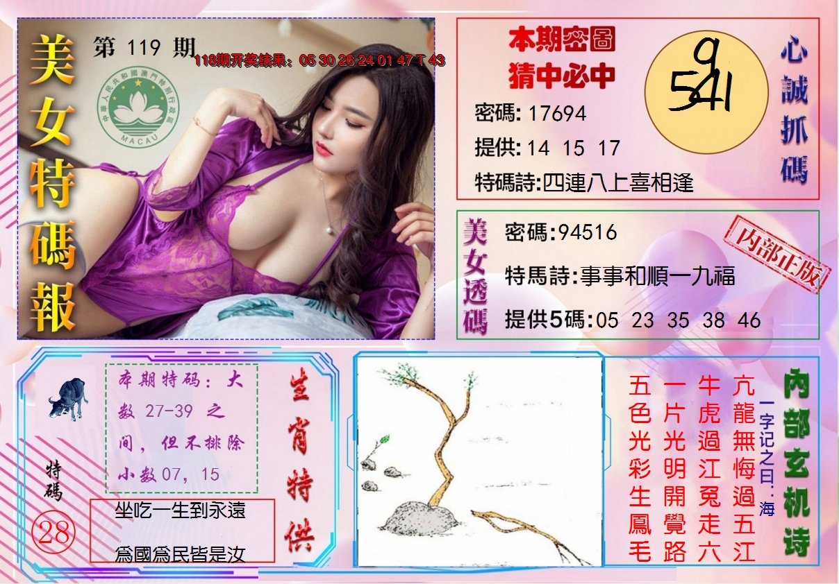 2024119期美女特码报