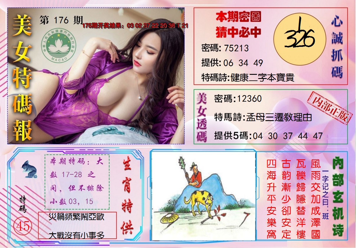 2024176期美女特码报