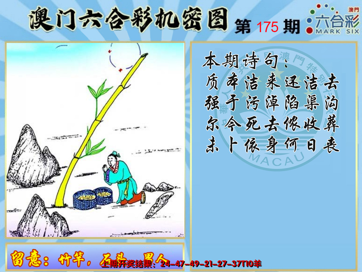 2024175期机密图