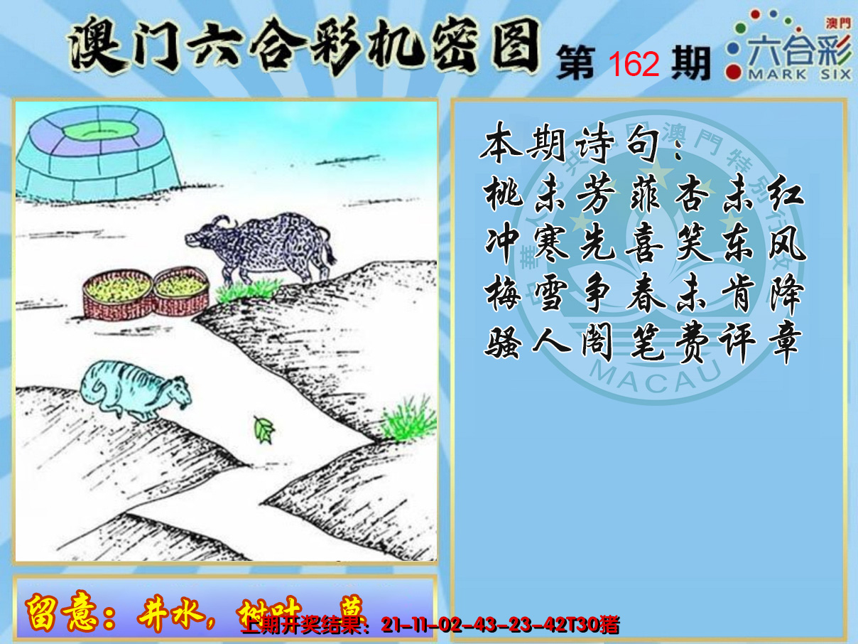 2024162期机密图