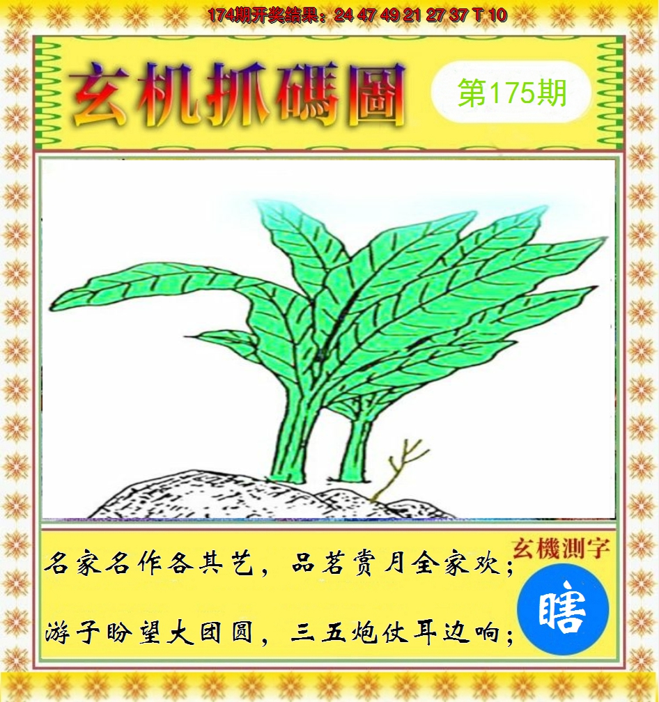 2024175期玄机抓码图