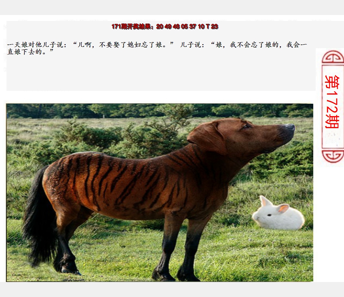 2024172期澳门生活幽默