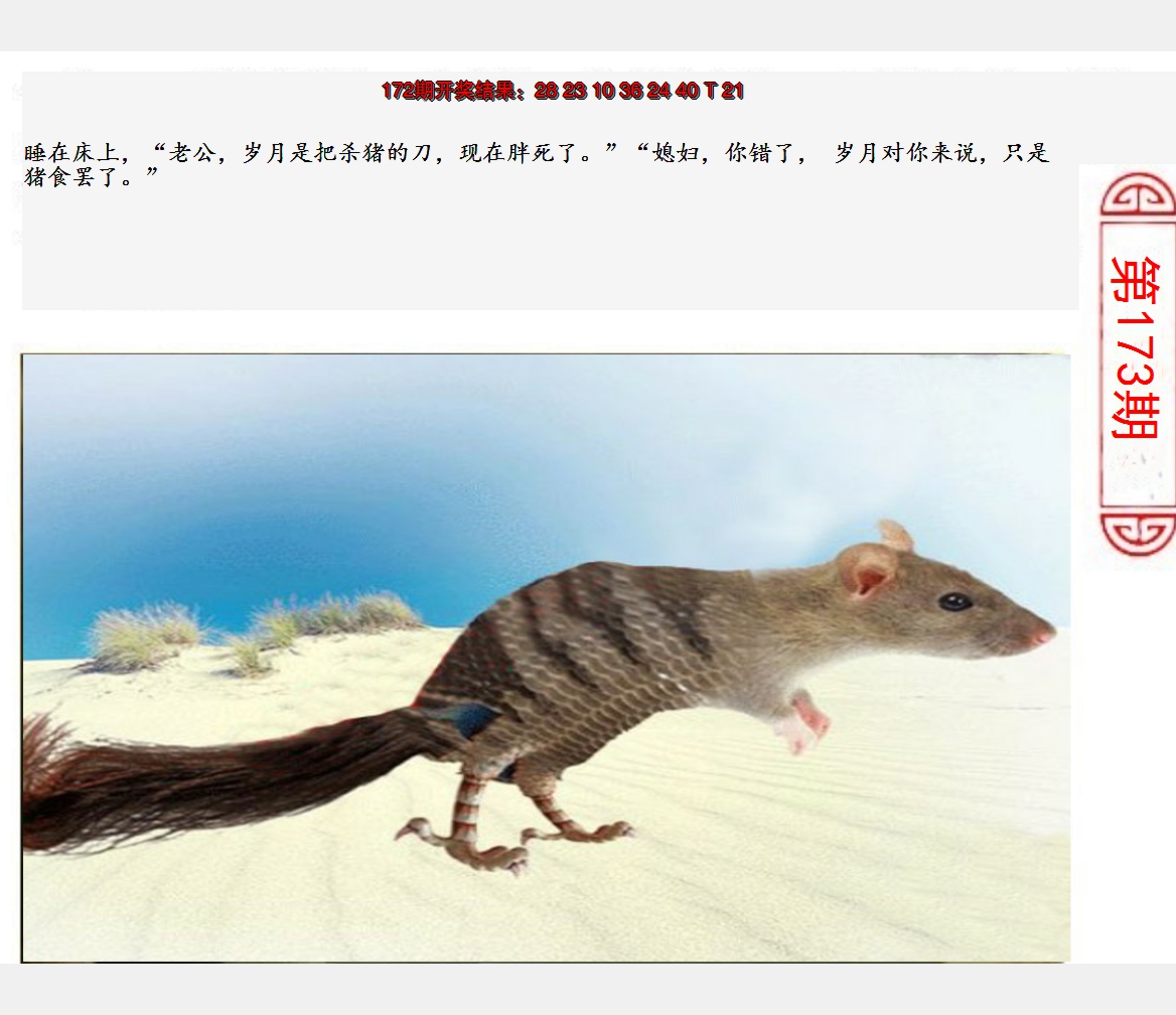 2024173期澳门生活幽默