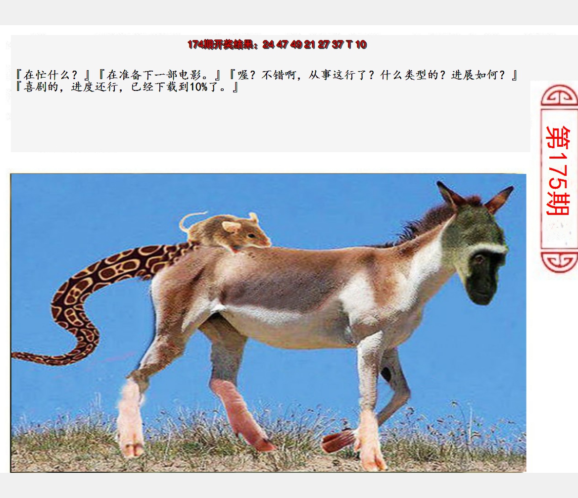 2024175期澳门生活幽默