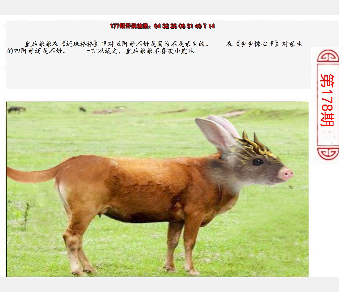 2024178期澳门生活幽默
