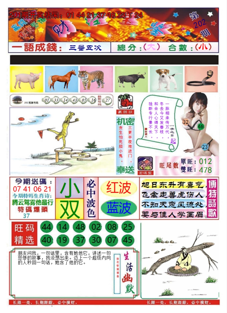 2024202期澳门财经宝鉴