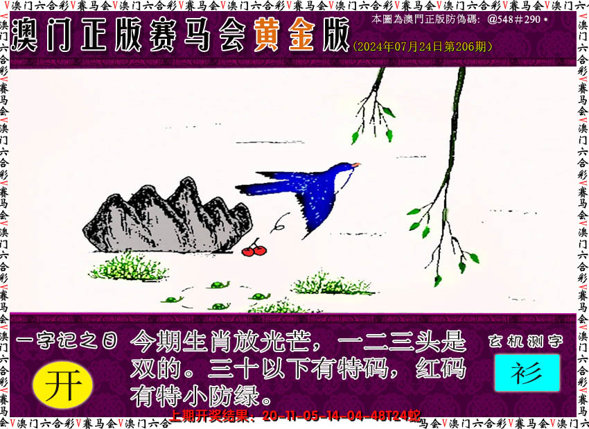 2024206期赛马会黄金版