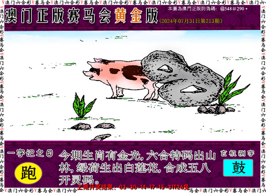 2024213期赛马会黄金版