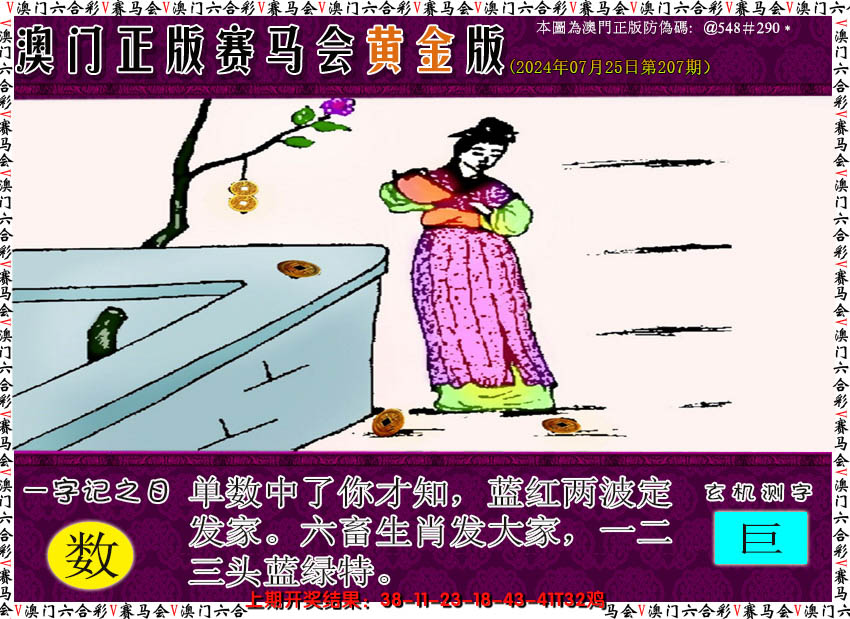 2024207期赛马会黄金版