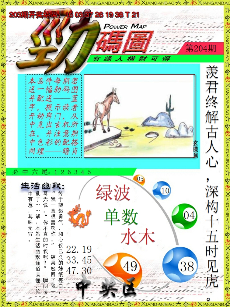 2024204期劲码图