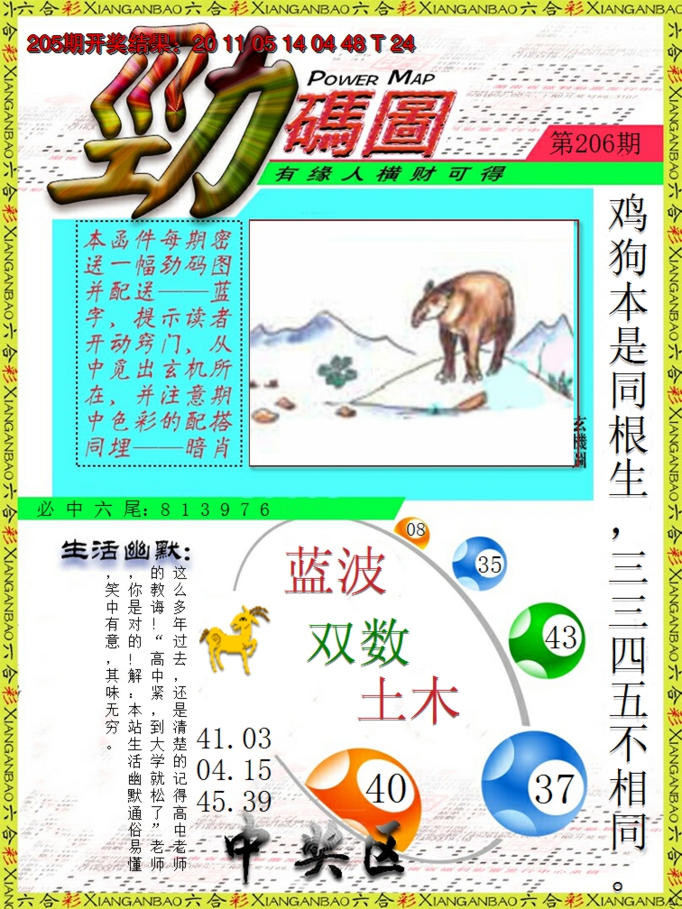 2024206期劲码图
