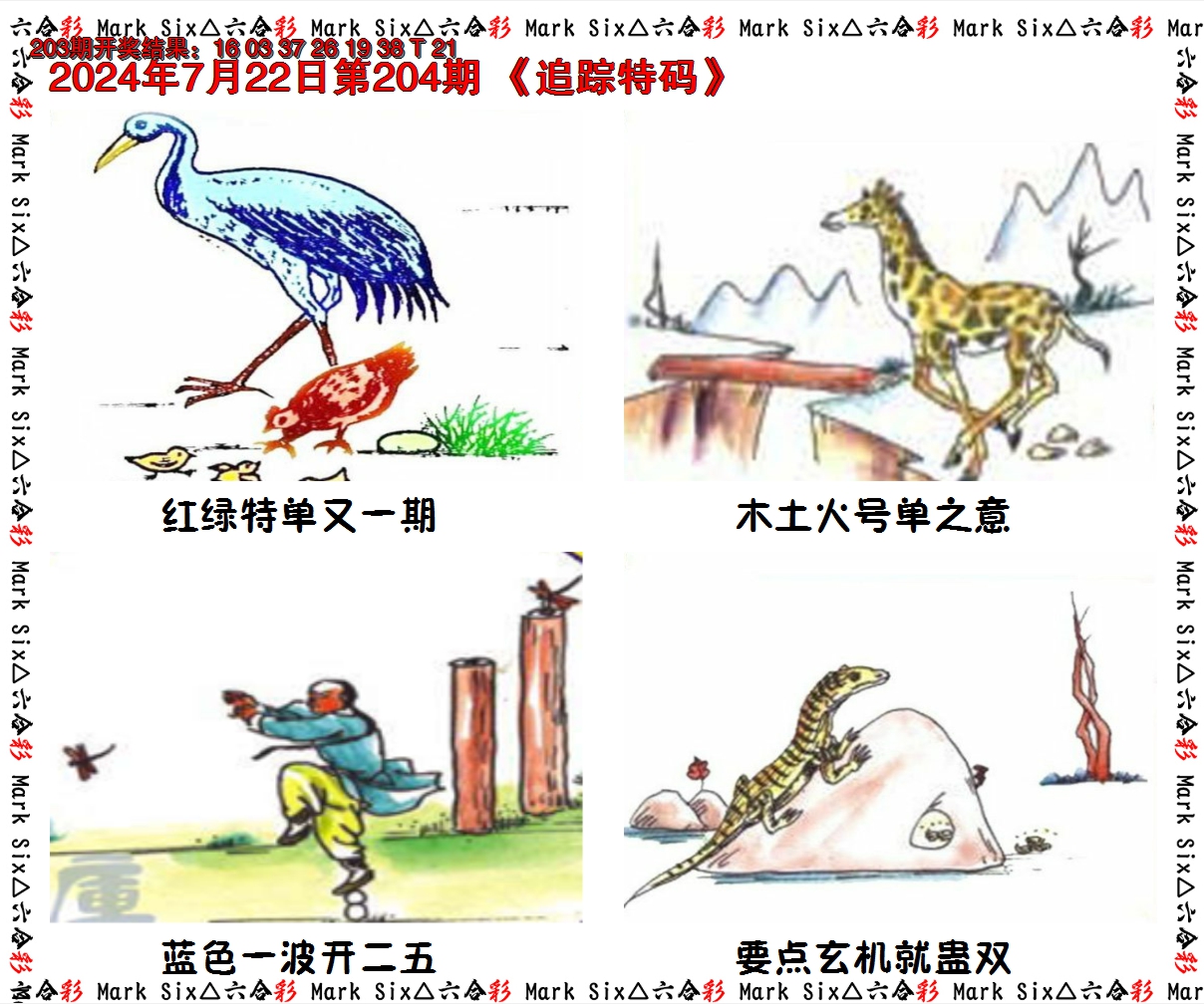 2024204期追踪特码