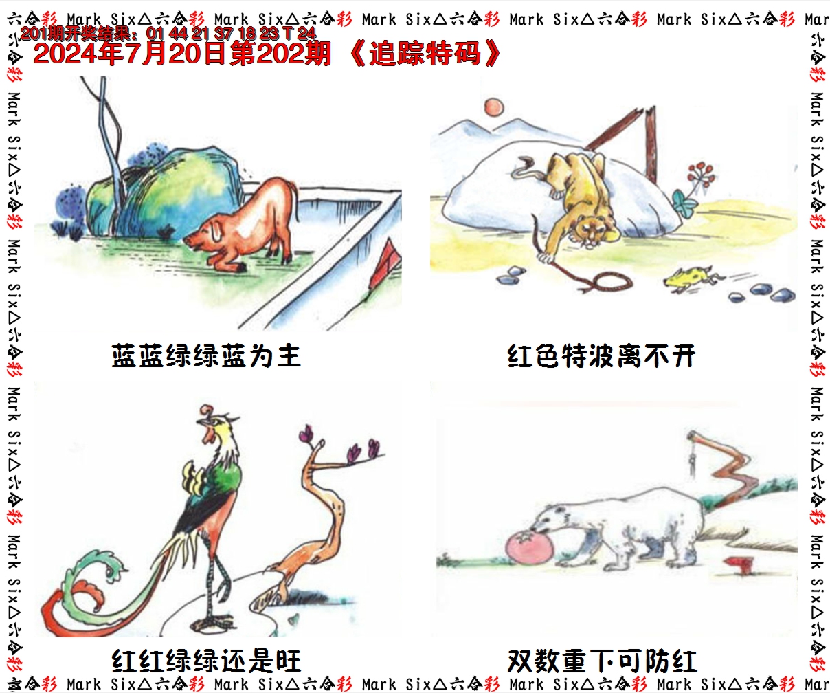 2024202期追踪特码