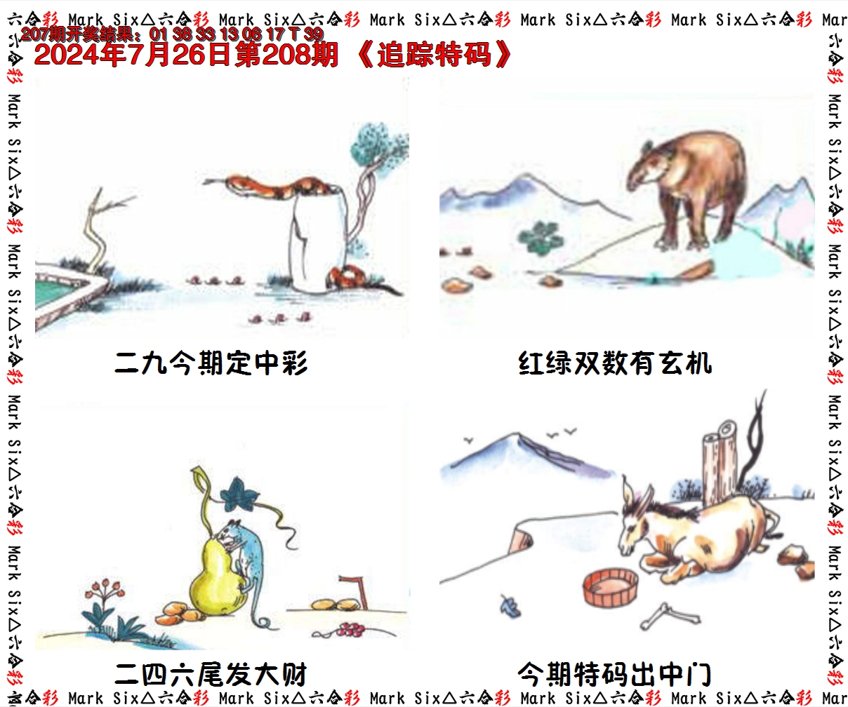 2024208期追踪特码