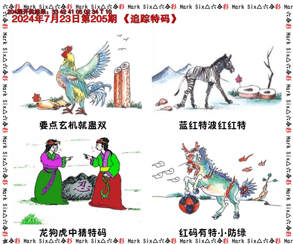 2024205期追踪特码