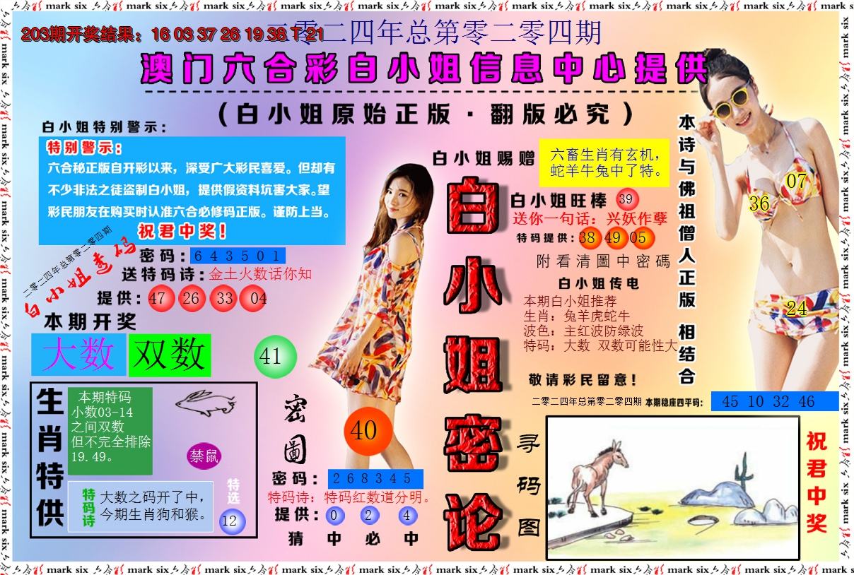 2024204期白小姐密论
