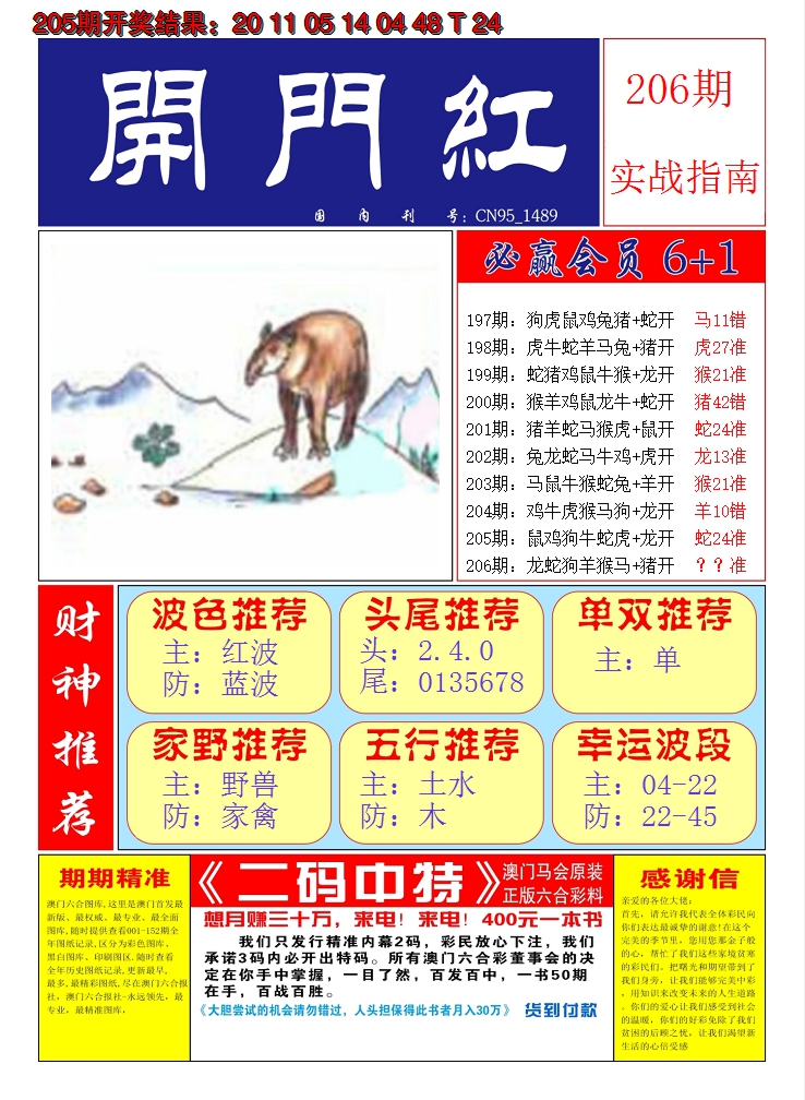 2024206期澳门开门红A