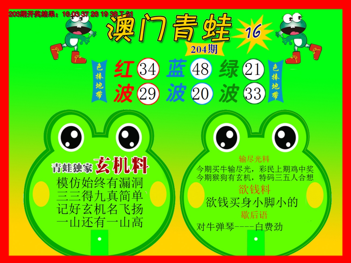 2024204期青蛙系列16