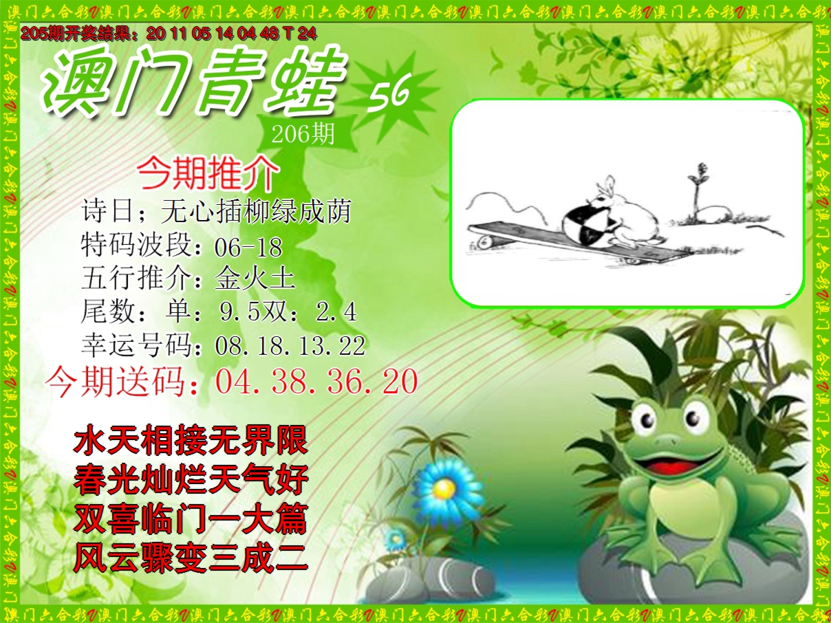 2024206期青蛙系列56