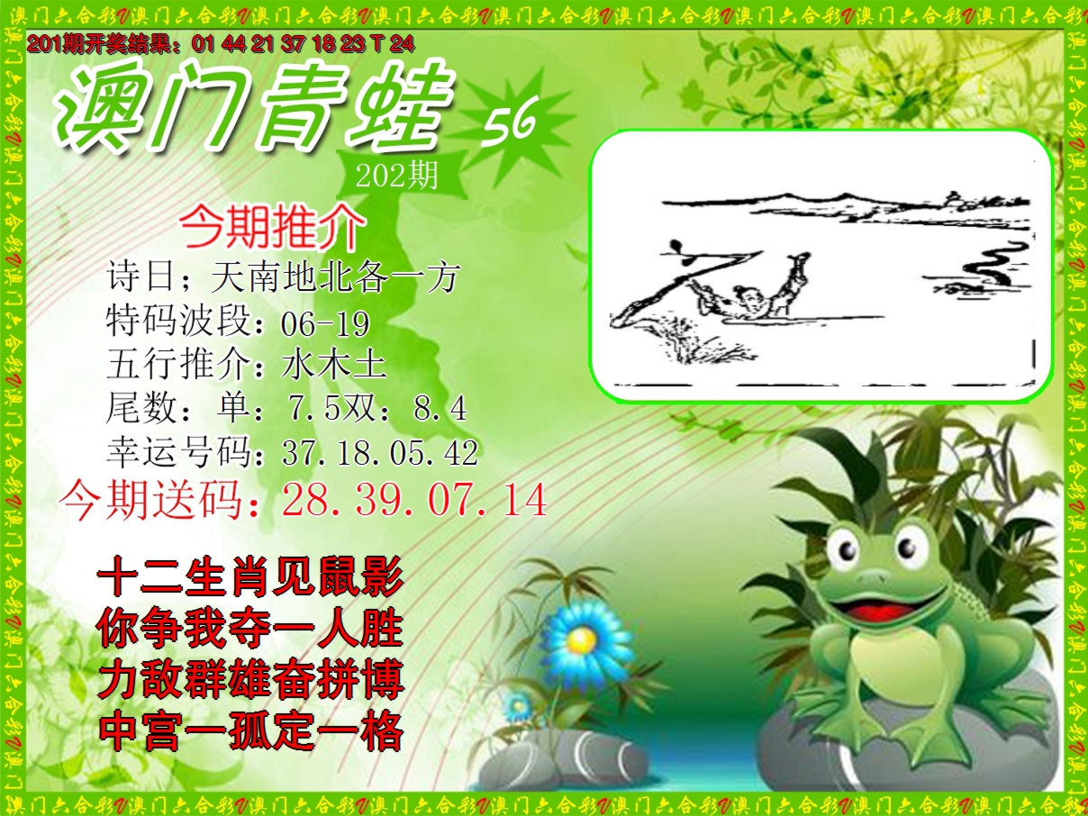 2024202期青蛙系列56