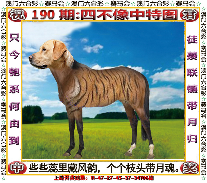 2024190期四不像中特图
