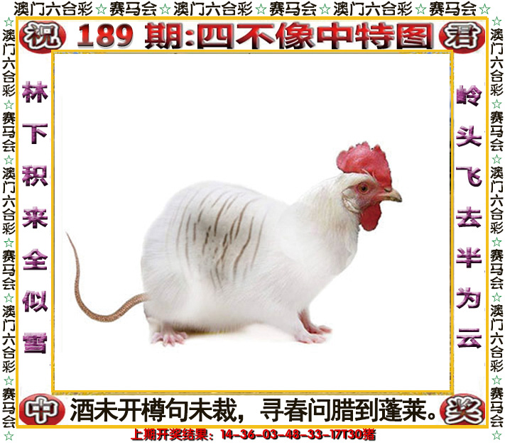 2024189期四不像中特图