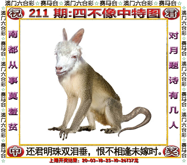 2024211期四不像中特图