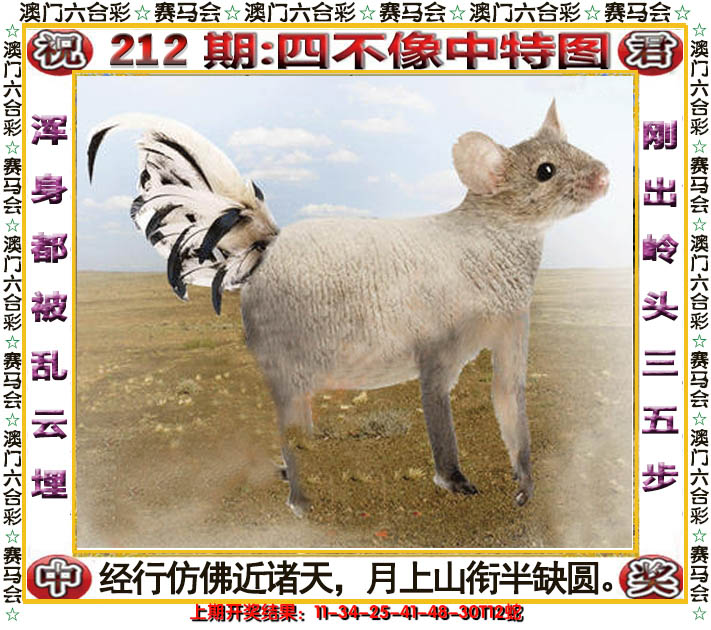 2024212期四不像中特图