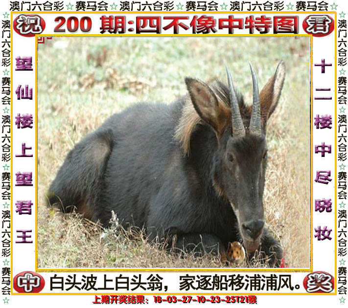 2024200期四不像中特图