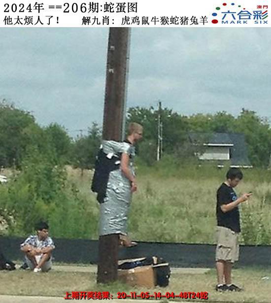 2024206期正版蛇蛋图
