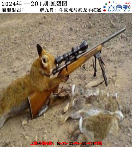 2024201期正版蛇蛋图