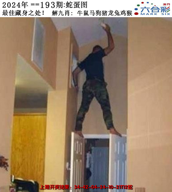 2024193期正版蛇蛋图