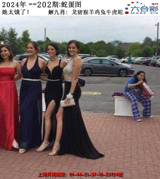 2024202期正版蛇蛋图