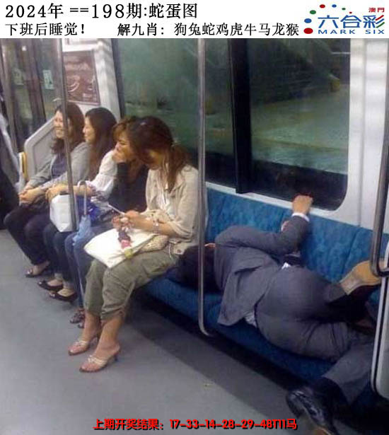 2024198期正版蛇蛋图