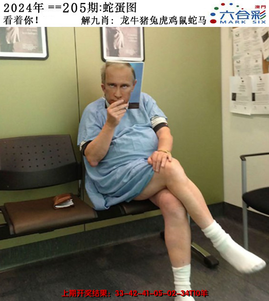 2024205期正版蛇蛋图
