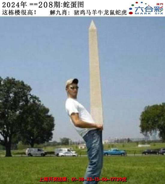 2024208期正版蛇蛋图