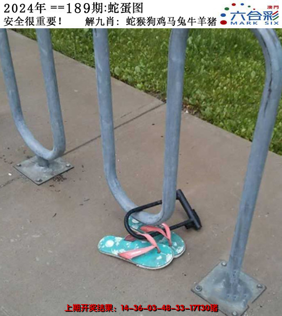 2024189期正版蛇蛋图
