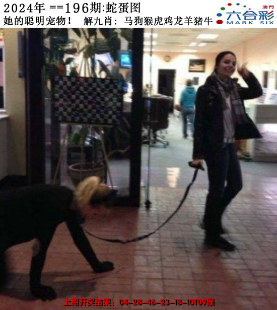 2024196期正版蛇蛋图