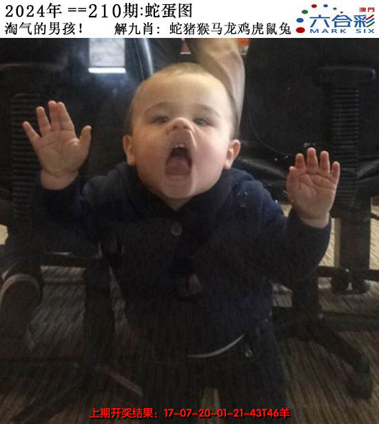 2024210期正版蛇蛋图