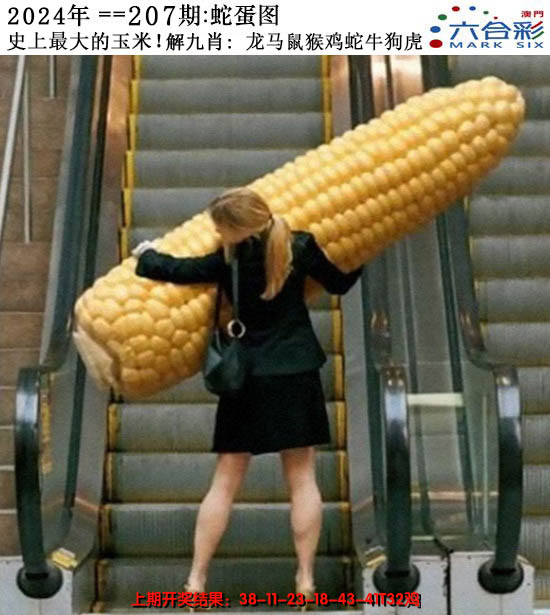 2024207期正版蛇蛋图