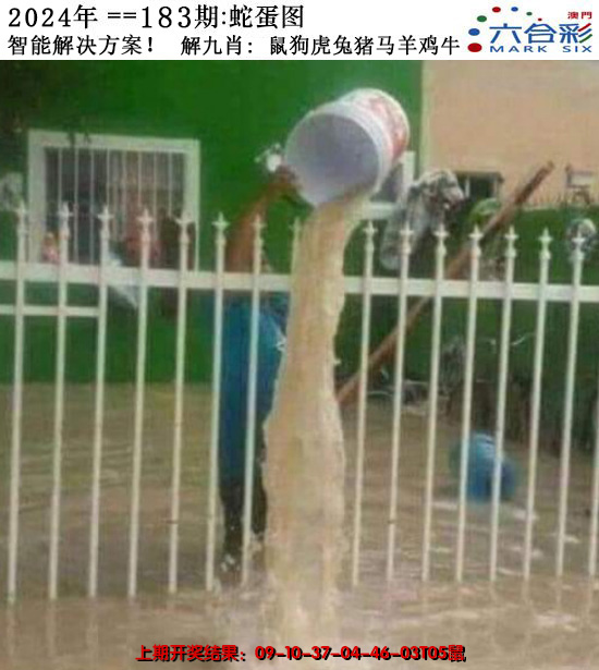 2024183期正版蛇蛋图