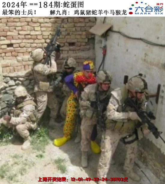 2024184期正版蛇蛋图