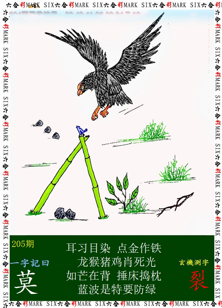 2024205期悟入其图