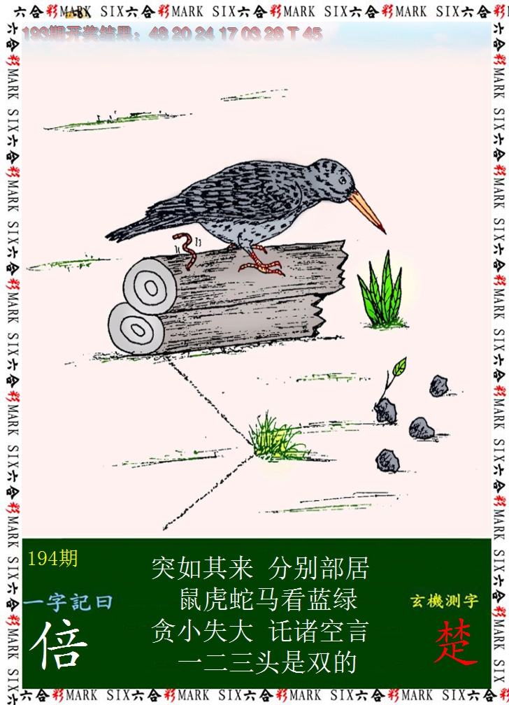 2024194期悟入其图